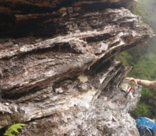 Professor Kathleen Campbell is appointed Fellow of the RSNZ