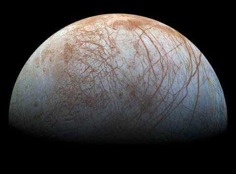 No Life Under Ice at Europa?