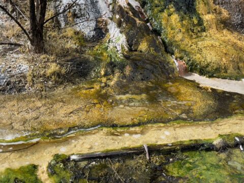 Exploring Life’s Origins – A Geothermal Field Day for Primary Teachers